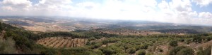 Jezreel Valley from atop Mt Carmel
